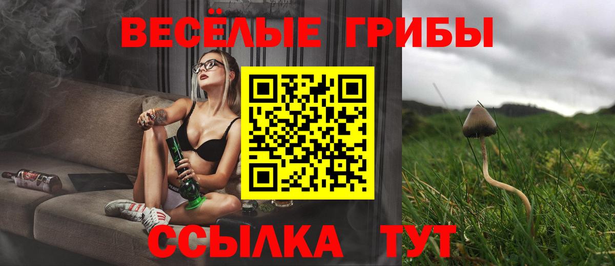 Галлюциногенные грибы MAGIC MUSHROOMS  Вход с VPN  Омск 